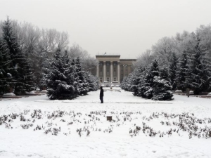 doorkijkje van het park in de sneeuw