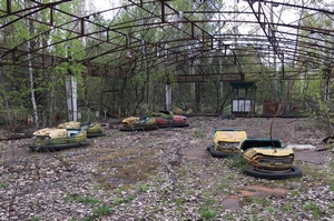 dodge cars on an overgrown floor